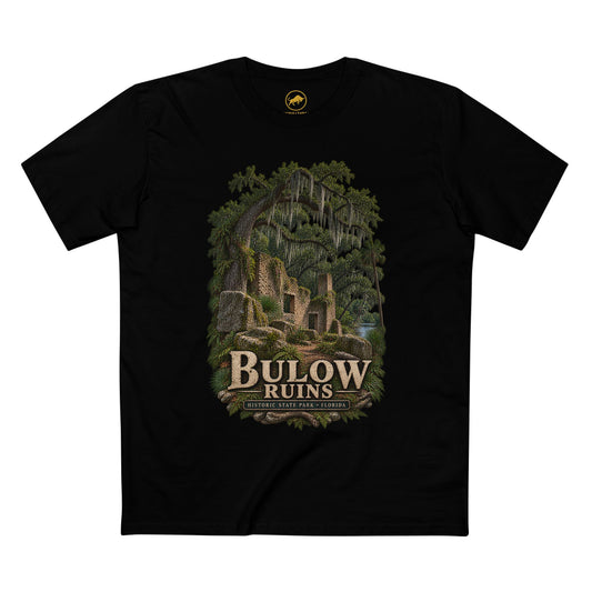 Bulow Plantation Ruins Shirt, Florida Historic State Park Tee, Coquina Sugar Mill, Flagler Beach Old Florida History T-Shirt.