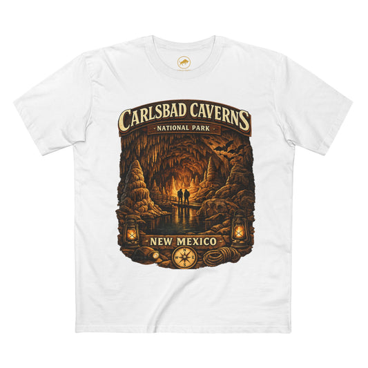 Florida Caverns State Park Shirt, Florida Cave T-Shirt, Marianna Florida Tee, Vintage National Park Graphic, Adventure Hiking Shirt.