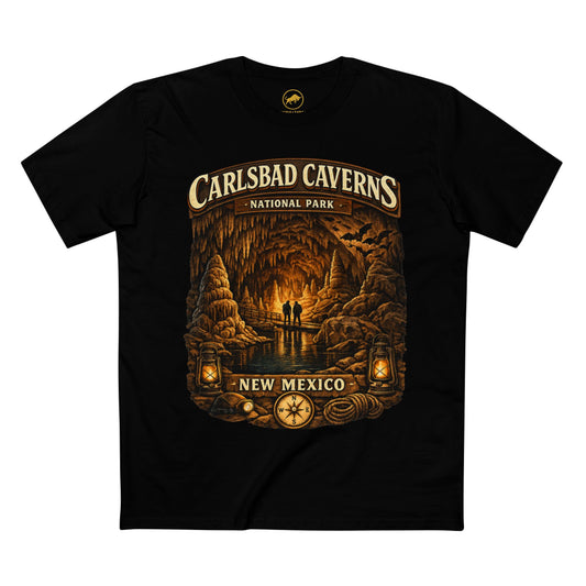Florida Caverns State Park Shirt, Florida Cave T-Shirt, Marianna Florida Tee, Vintage National Park Graphic, Adventure Hiking Shirt.