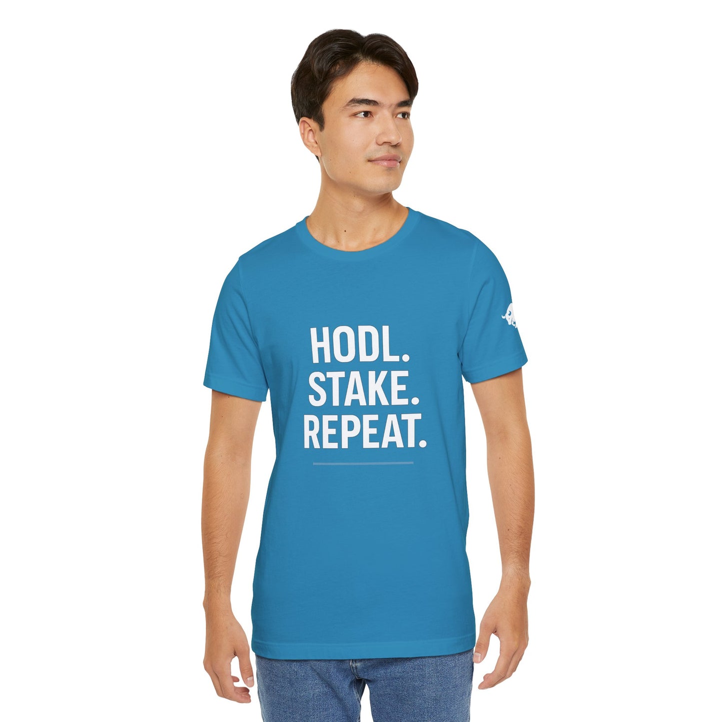 Premium Crypto Tee – HODL Stake Repeat Minimalist Streetwear by TheBullThread