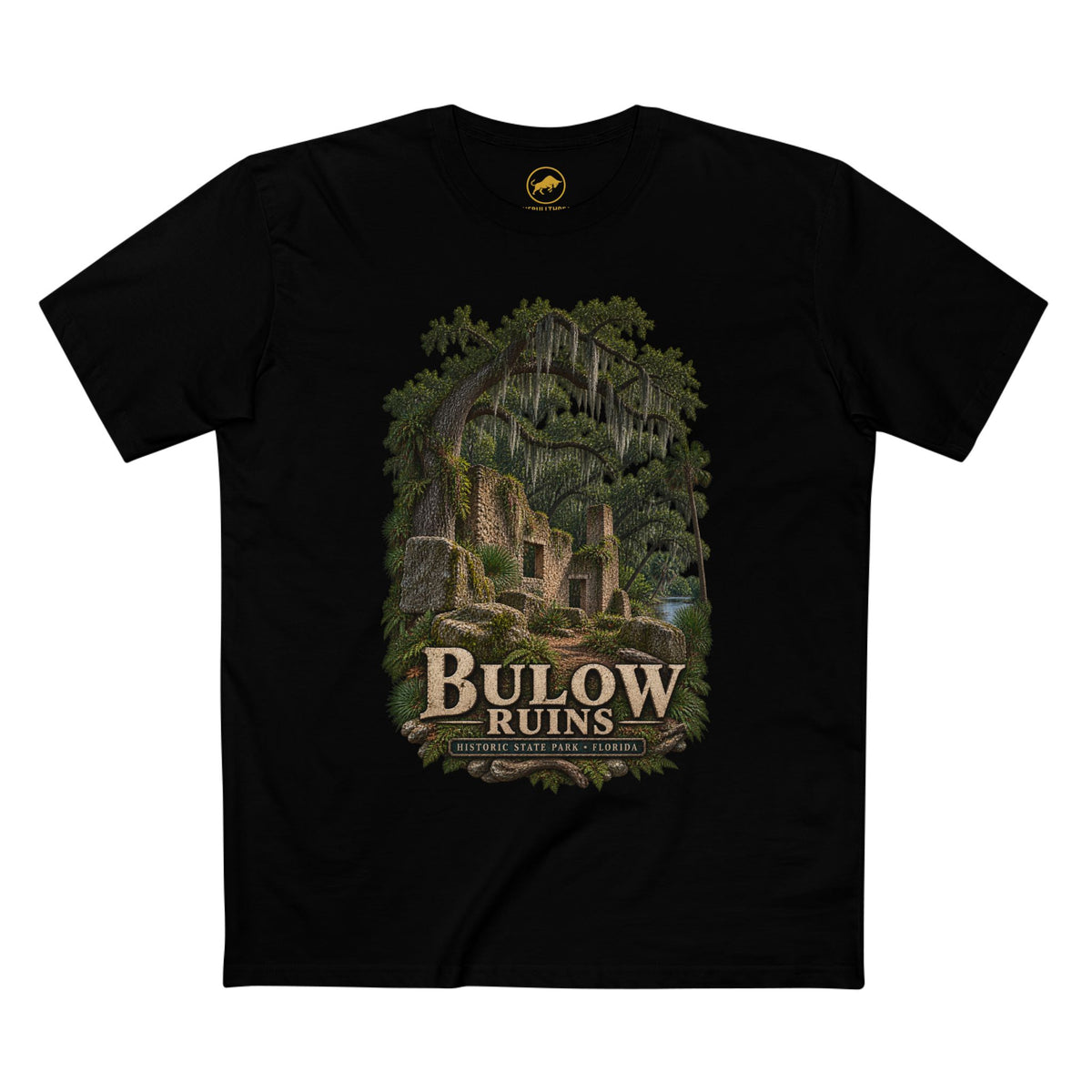 Bulow Plantation Ruins Shirt, Florida Historic State Park Tee, Coquina Sugar Mill, Flagler Beach Old Florida History T-Shirt.