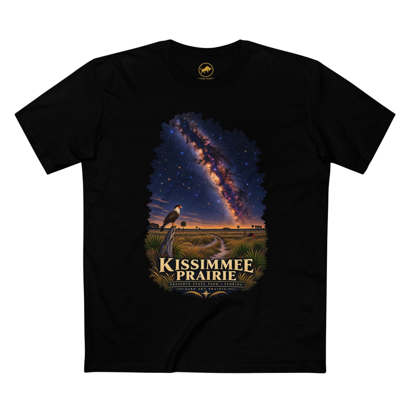 Kissimmee Prairie Preserve Dark Sky Shirt, Florida State Park Milky Way Tee, Okeechobee Stargazing Gift.