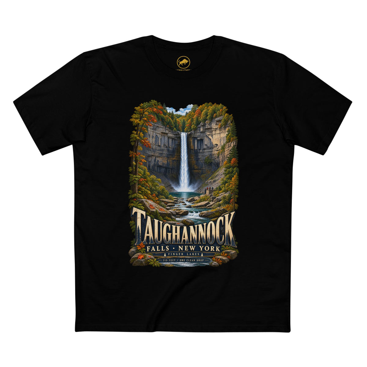 Taughannock Falls Shirt, Finger Lakes New York Tee, Upstate NY Waterfall State Park, Cayuga Lake Hiking Gift.