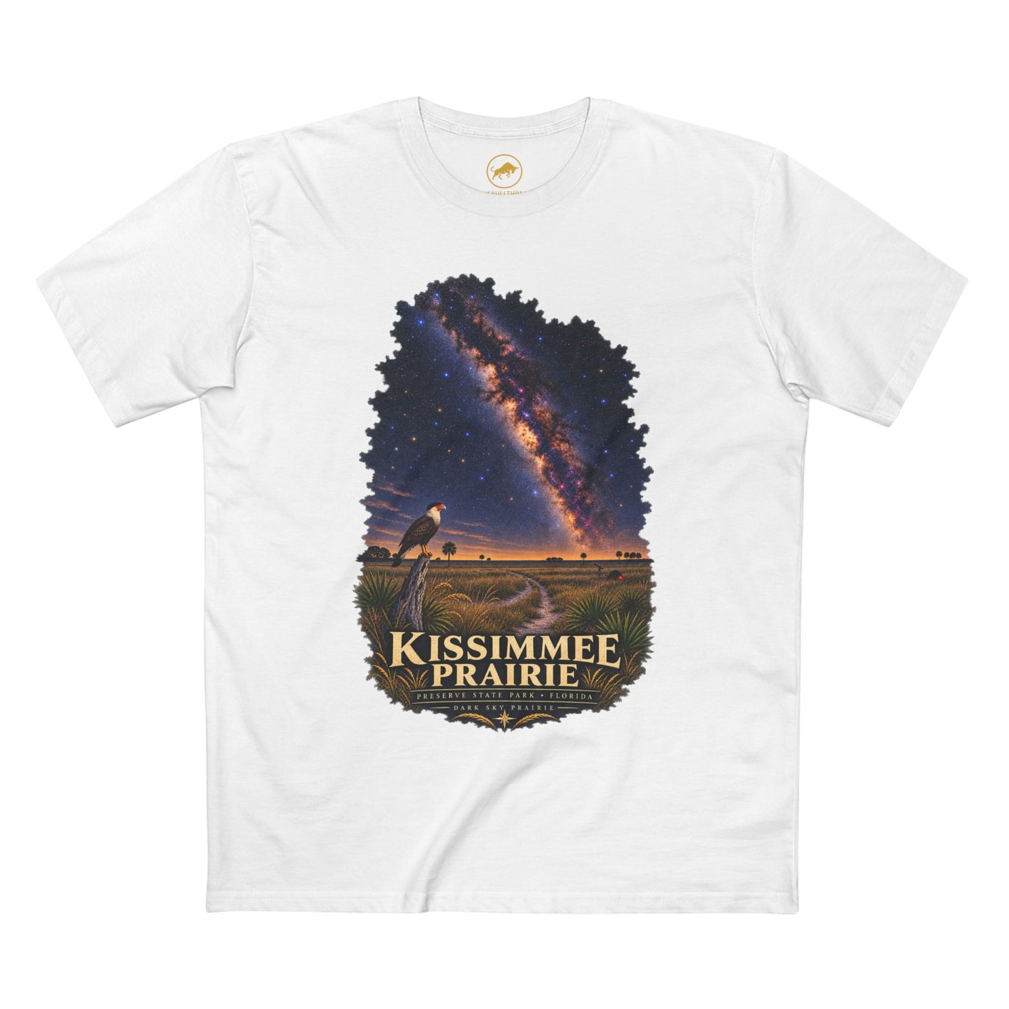 Kissimmee Prairie Preserve Dark Sky Shirt, Florida State Park Milky Way Tee, Okeechobee Stargazing Gift.