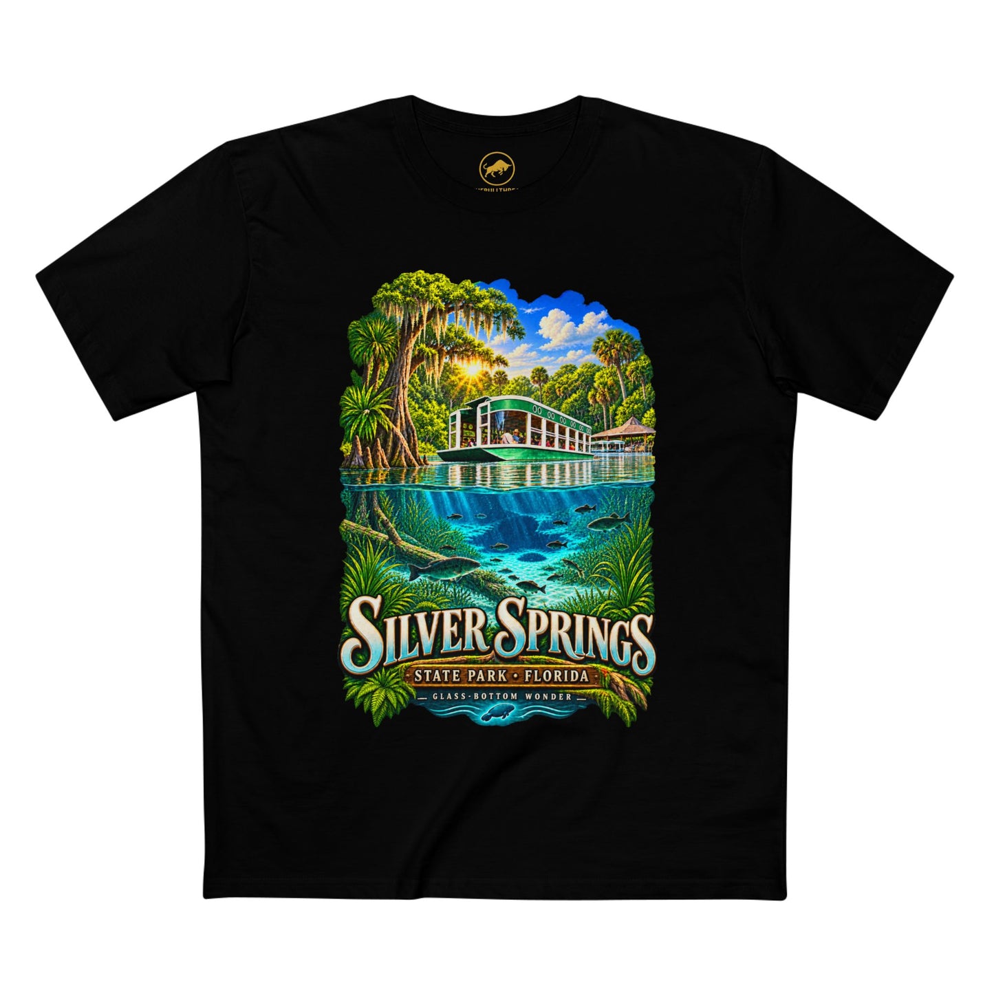 Silver Springs State Park Shirt, Vintage Florida Glass-Bottom Boat Graphic Tee.