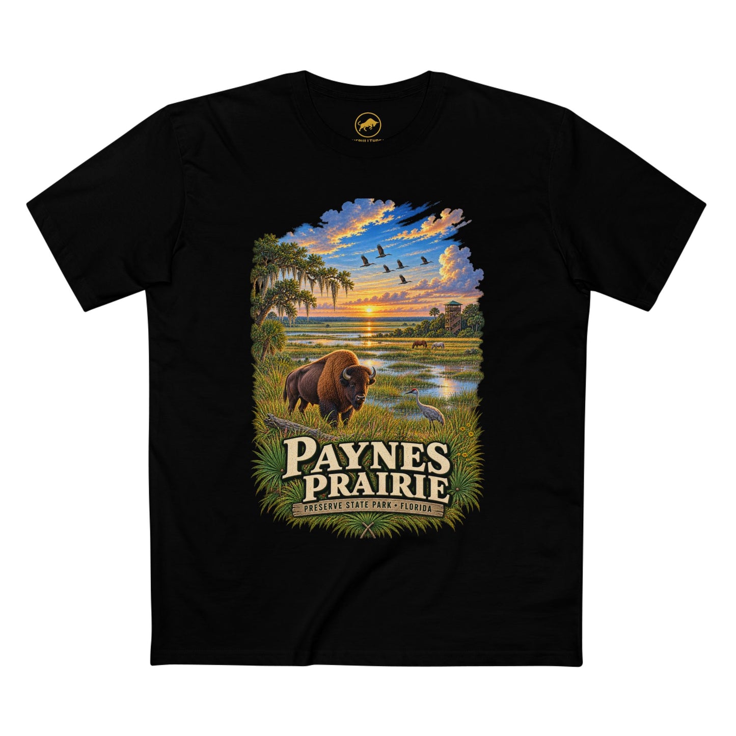 Paynes Prairie Shirt, Florida Bison Wildlife Tee, Gainesville Florida State Park Gift.