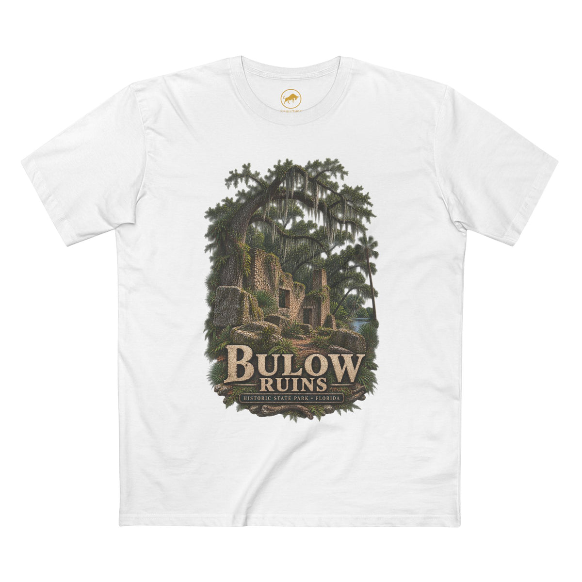 Bulow Plantation Ruins Shirt, Florida Historic State Park Tee, Coquina Sugar Mill, Flagler Beach Old Florida History T-Shirt.