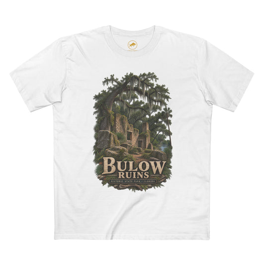 Bulow Plantation Ruins Shirt, Florida Historic State Park Tee, Coquina Sugar Mill, Flagler Beach Old Florida History T-Shirt.