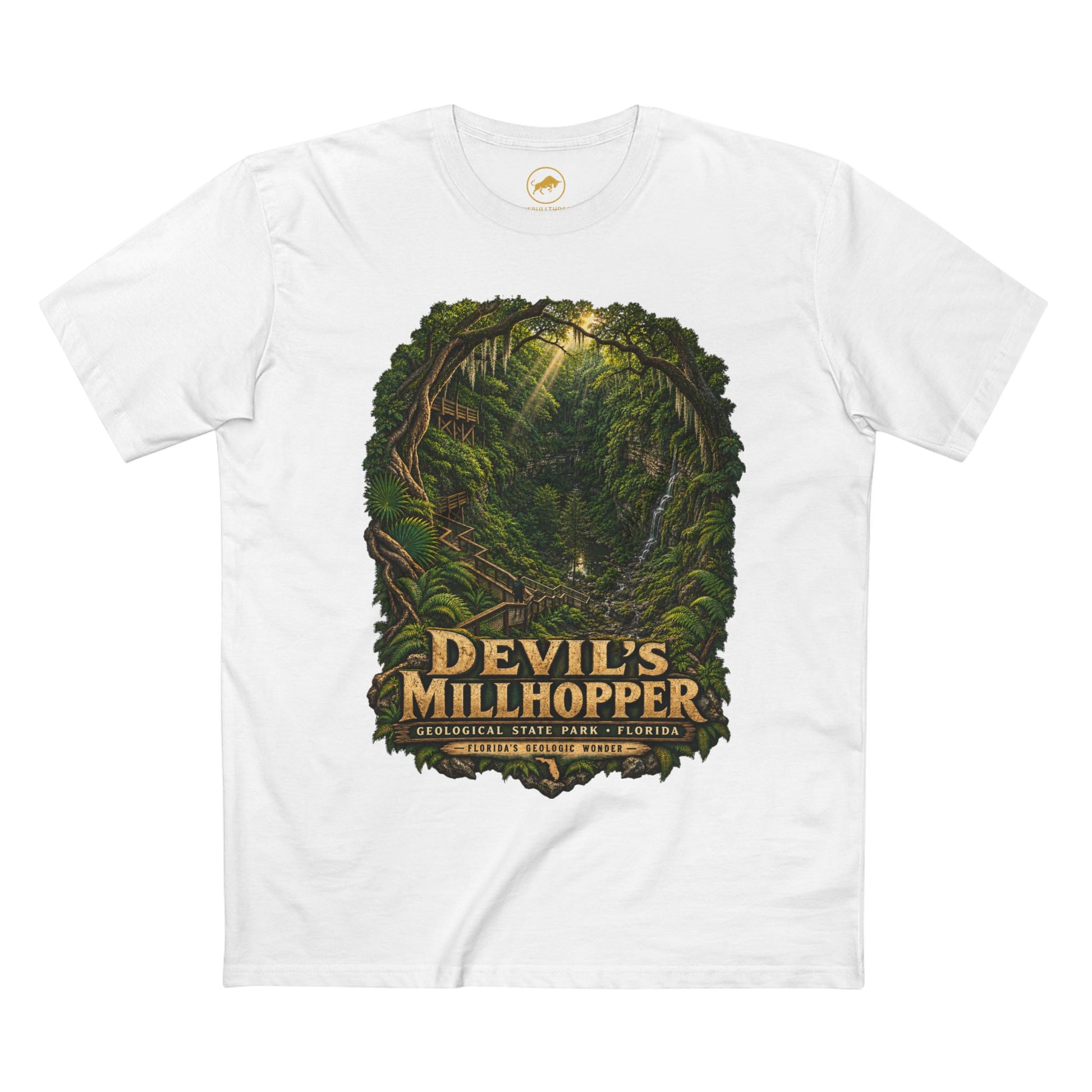 Devil's Millhopper Geological State Park Shirt, Gainesville Florida Sinkhole Vintage Graphic Tee.