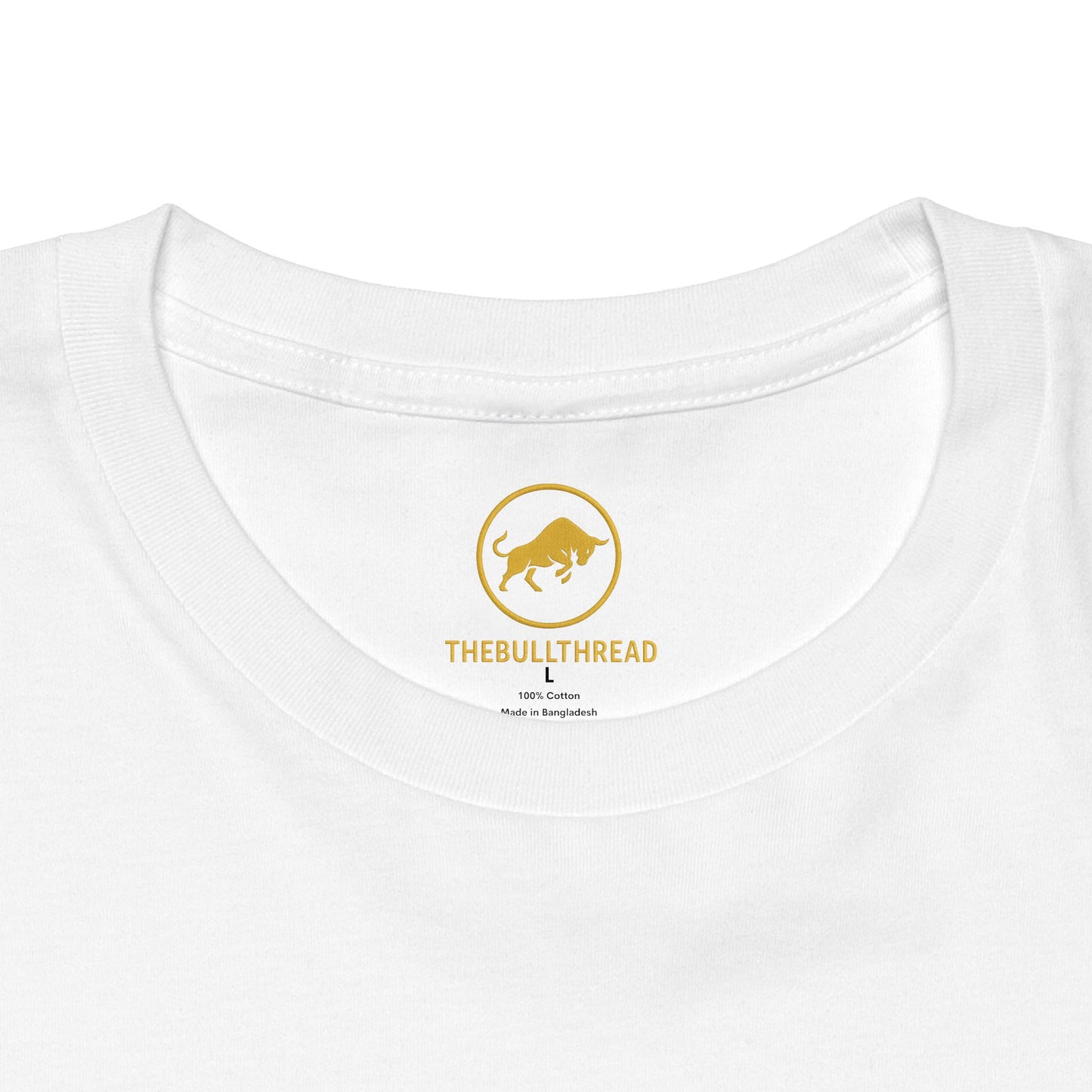 St. Petersburg Florida Shirt, Sunshine City Waterfront Tee, Vintage Florida Travel Graphic Shirt, Gulf Coast Souvenir, St Pete Vacation Gift.