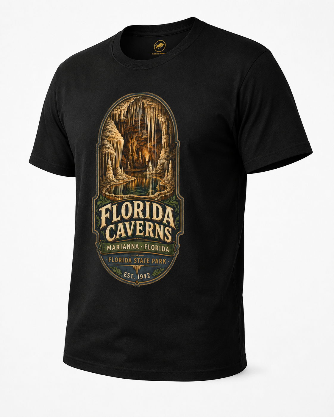 Florida Caverns State Park Shirt, Marianna Florida Cave Tee, Vintage Travel Graphic, Premium AS Colour 5001 Souvenir Gift.