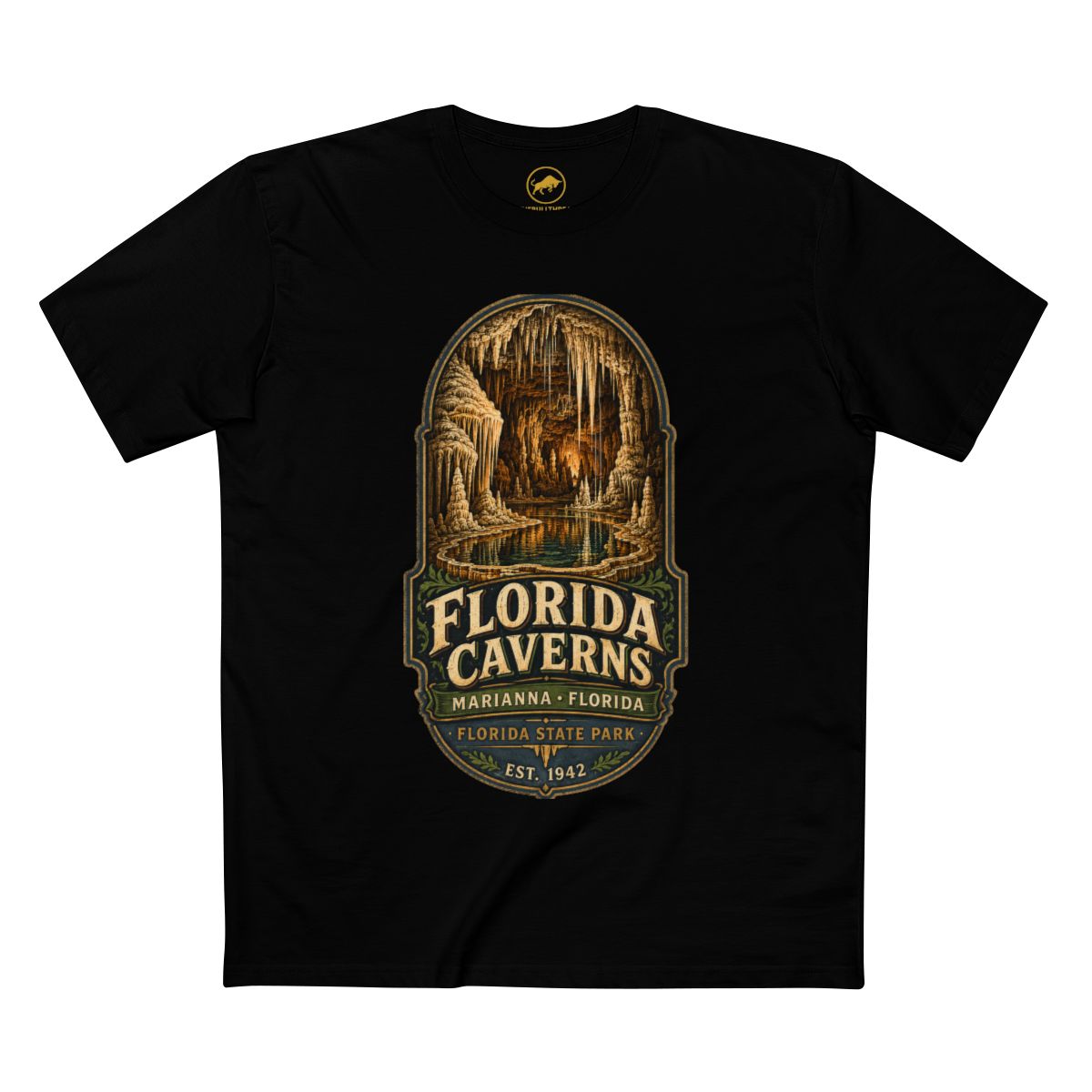 Florida Caverns State Park Shirt, Marianna Florida Cave Tee, Vintage Travel Graphic, Premium AS Colour 5001 Souvenir Gift.