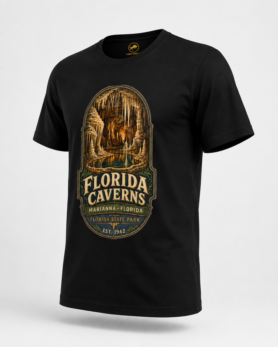 Florida Caverns State Park Shirt, Marianna Florida Cave Tee, Vintage Travel Graphic, Premium AS Colour 5001 Souvenir Gift.