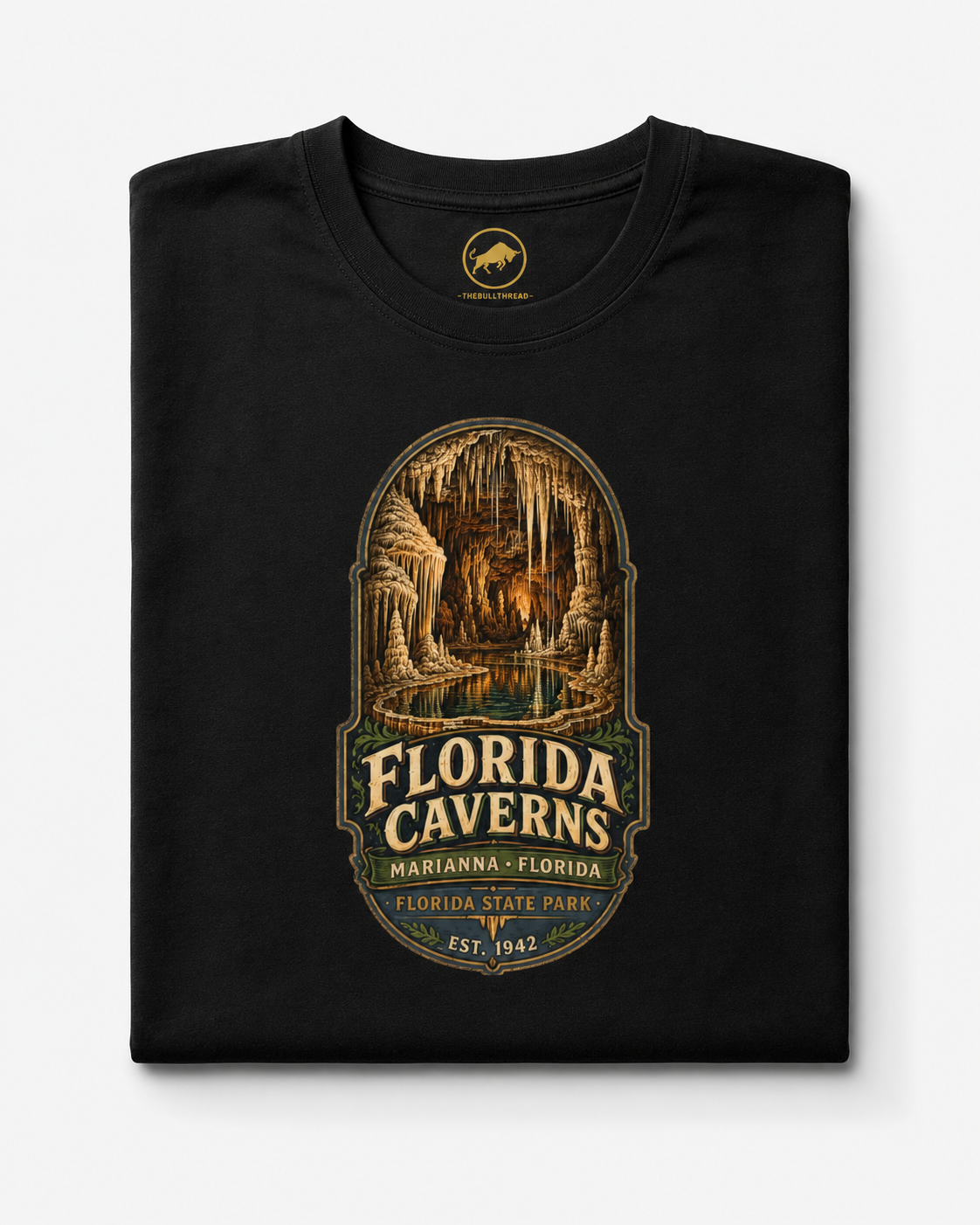 Florida Caverns State Park Shirt, Marianna Florida Cave Tee, Vintage Travel Graphic, Premium AS Colour 5001 Souvenir Gift.
