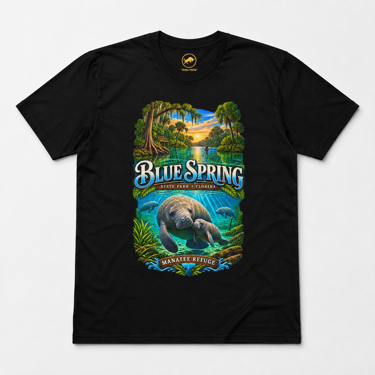 Blue Spring State Park Manatee T-Shirt, Heavyweight Retro Florida Springs Graphic.