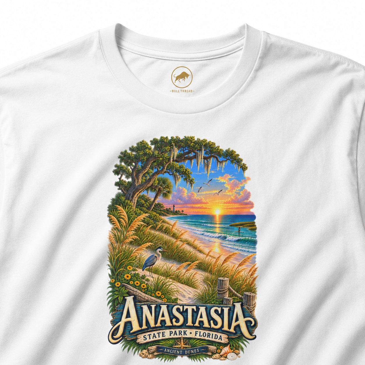 Anastasia State Park Shirt, St Augustine Florida Beach Tee, Vintage Coastal Nature Graphic.