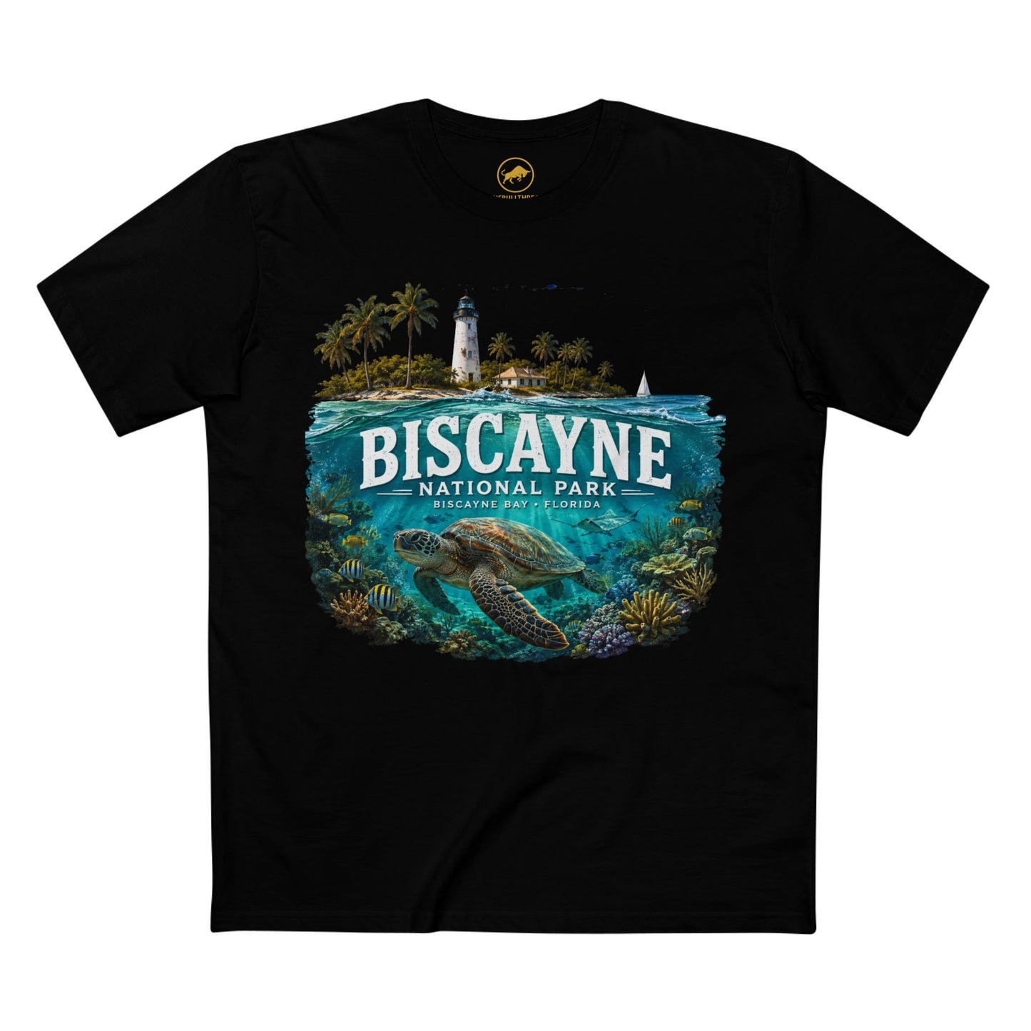 Biscayne National Park Shirt Sea Turtle Florida Graphic Tee Coral Reef Lighthouse Ocean Adventure T Shirt