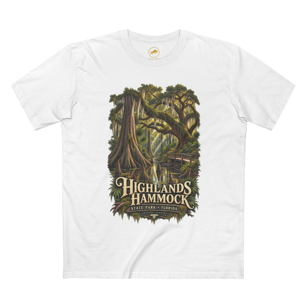 Highlands Hammock State Park Florida Shirt, Cypress Swamp Nature Graphic, Sebring.