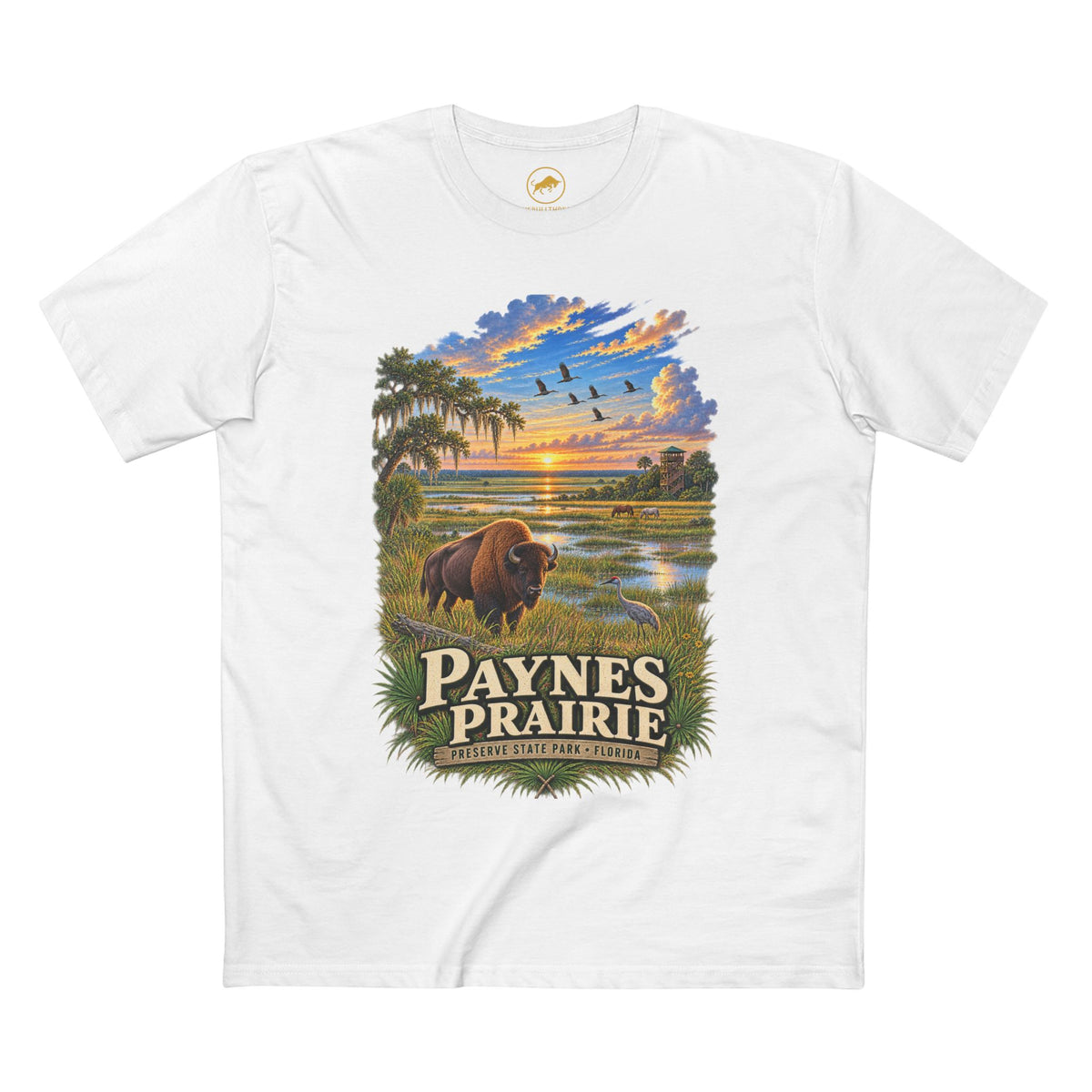 Paynes Prairie Shirt, Florida Bison Wildlife Tee, Gainesville Florida State Park Gift.