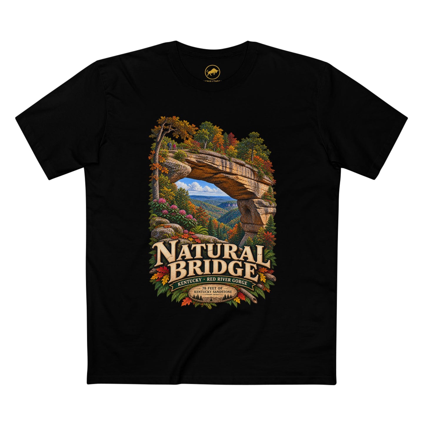 Natural Bridge KY Red River Gorge Shirt.