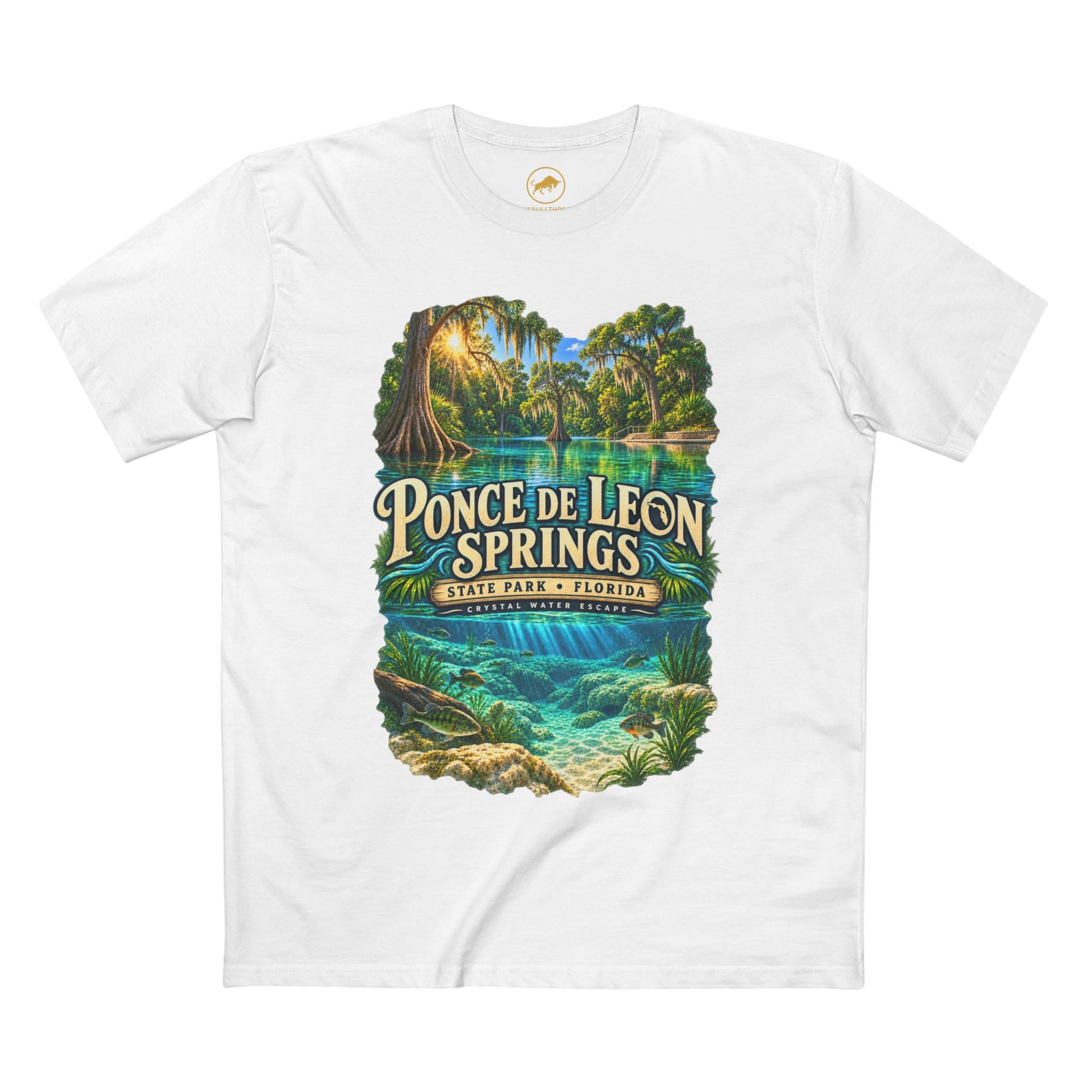 Ponce de Leon Springs State Park T-Shirt, Florida Nature Graphic Tee.