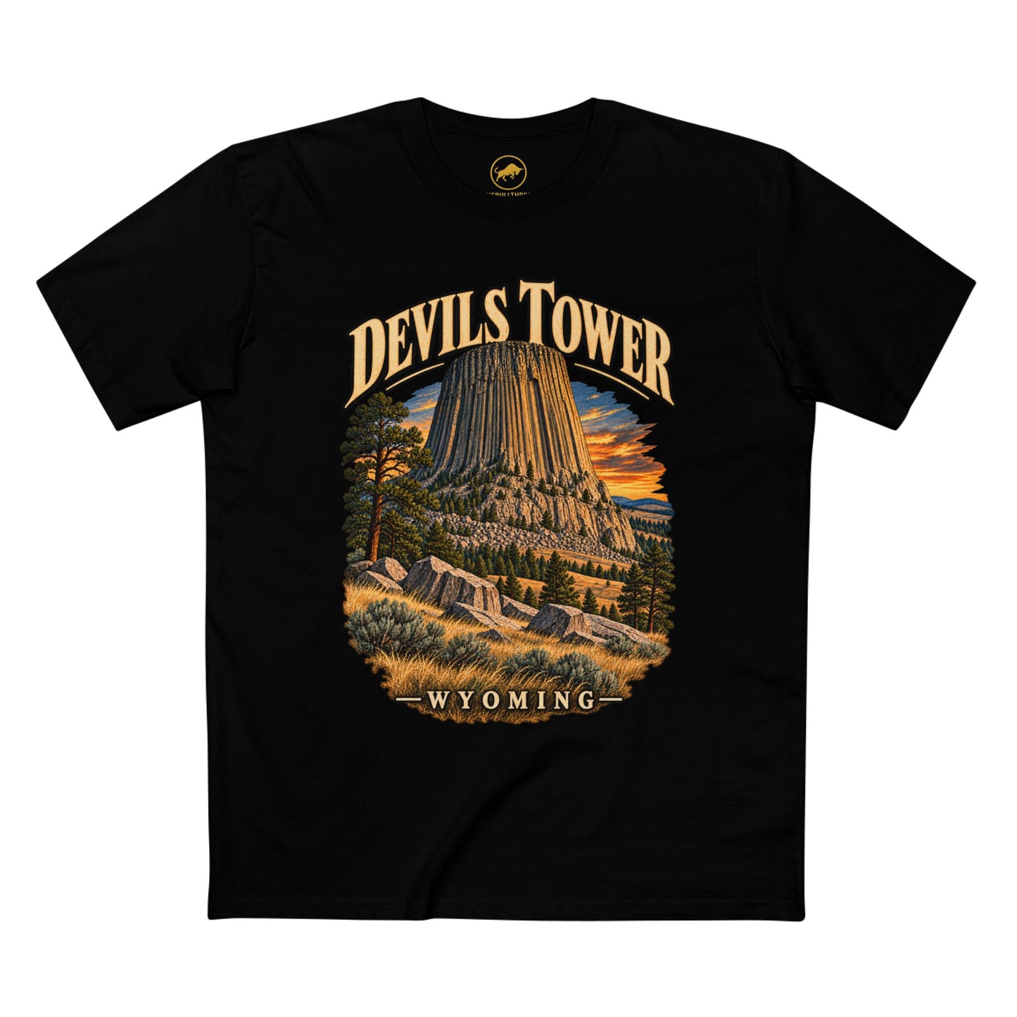 Devils Tower Wyoming T-Shirt, Vintage National Monument Graphic Tee.