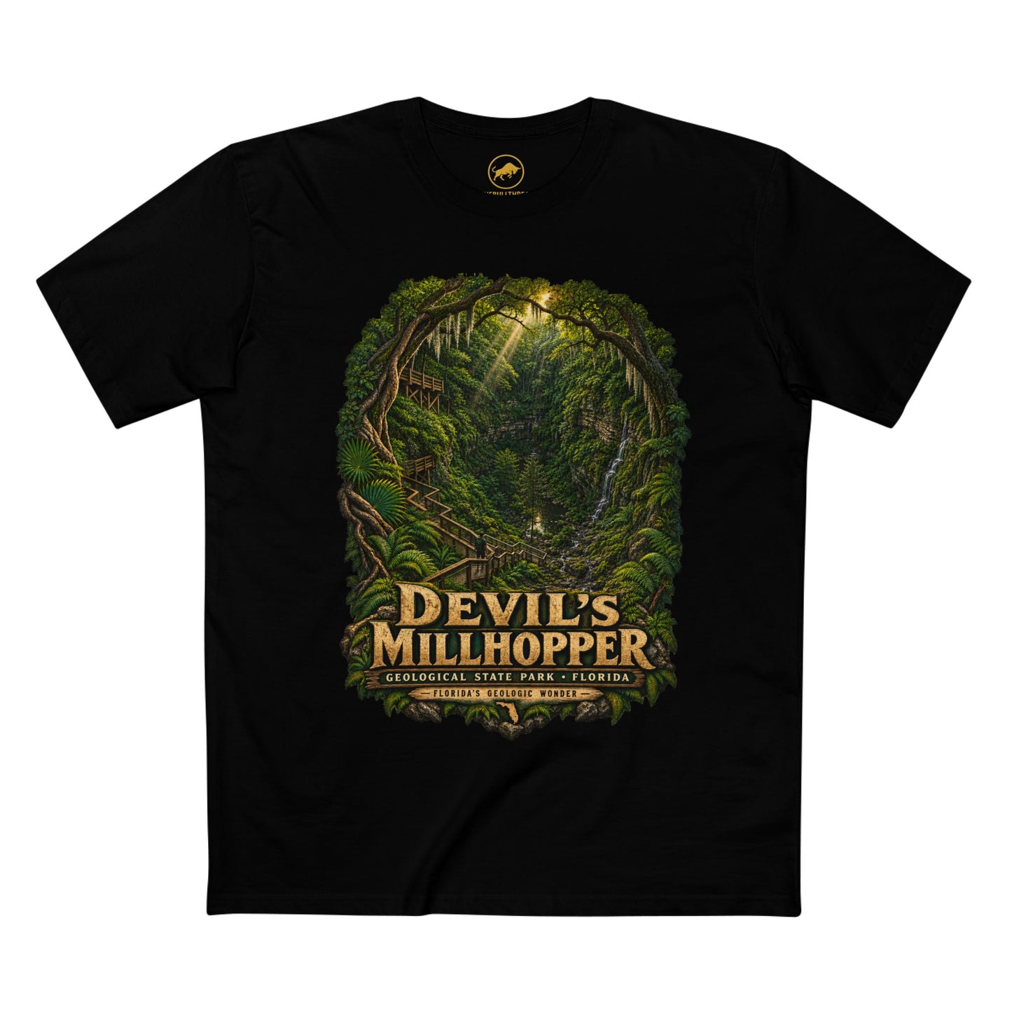 Devil's Millhopper Geological State Park Shirt, Gainesville Florida Sinkhole Vintage Graphic Tee.
