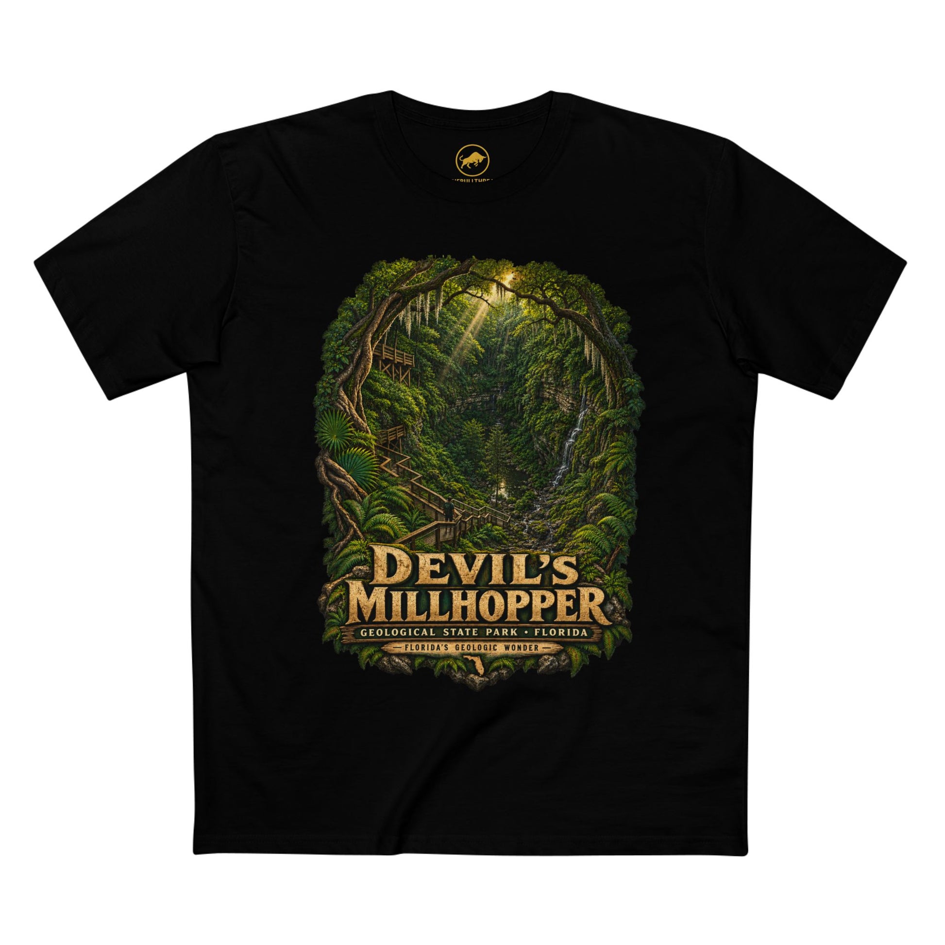 Devil's Millhopper Geological State Park Shirt, Gainesville Florida Sinkhole Vintage Graphic Tee.