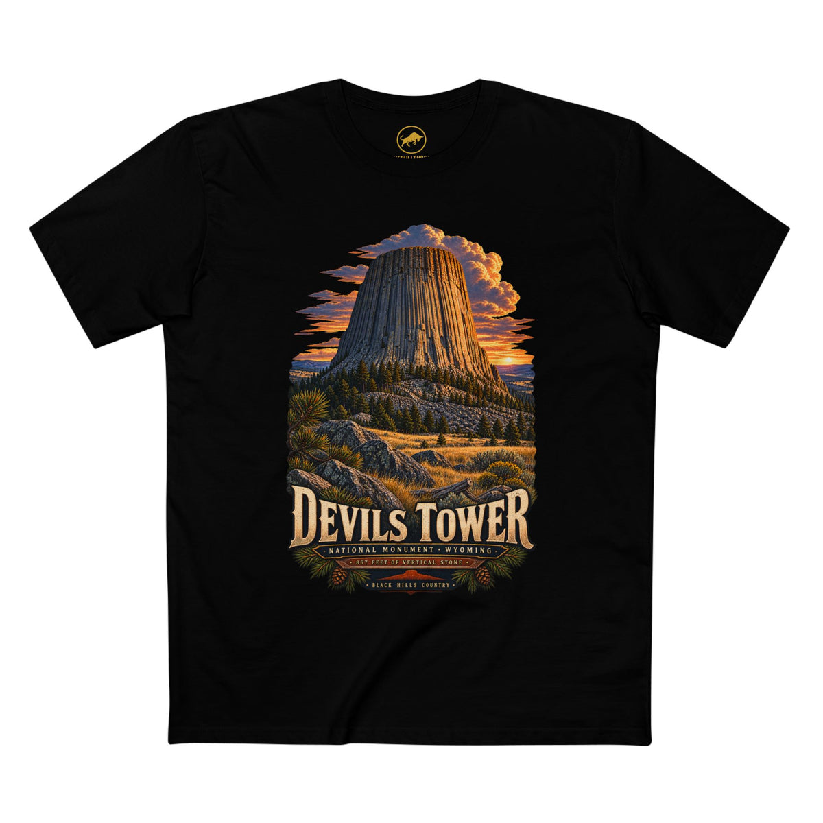 Devils Tower Shirt, Wyoming National Monument Geology Tee, Vintage Western Travel T-Shirt.