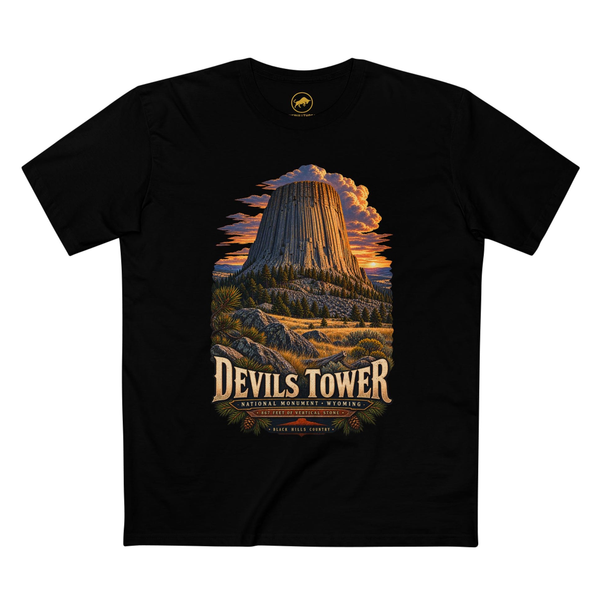 Devils Tower Shirt, Wyoming National Monument Geology Tee, Vintage Western Travel T-Shirt.