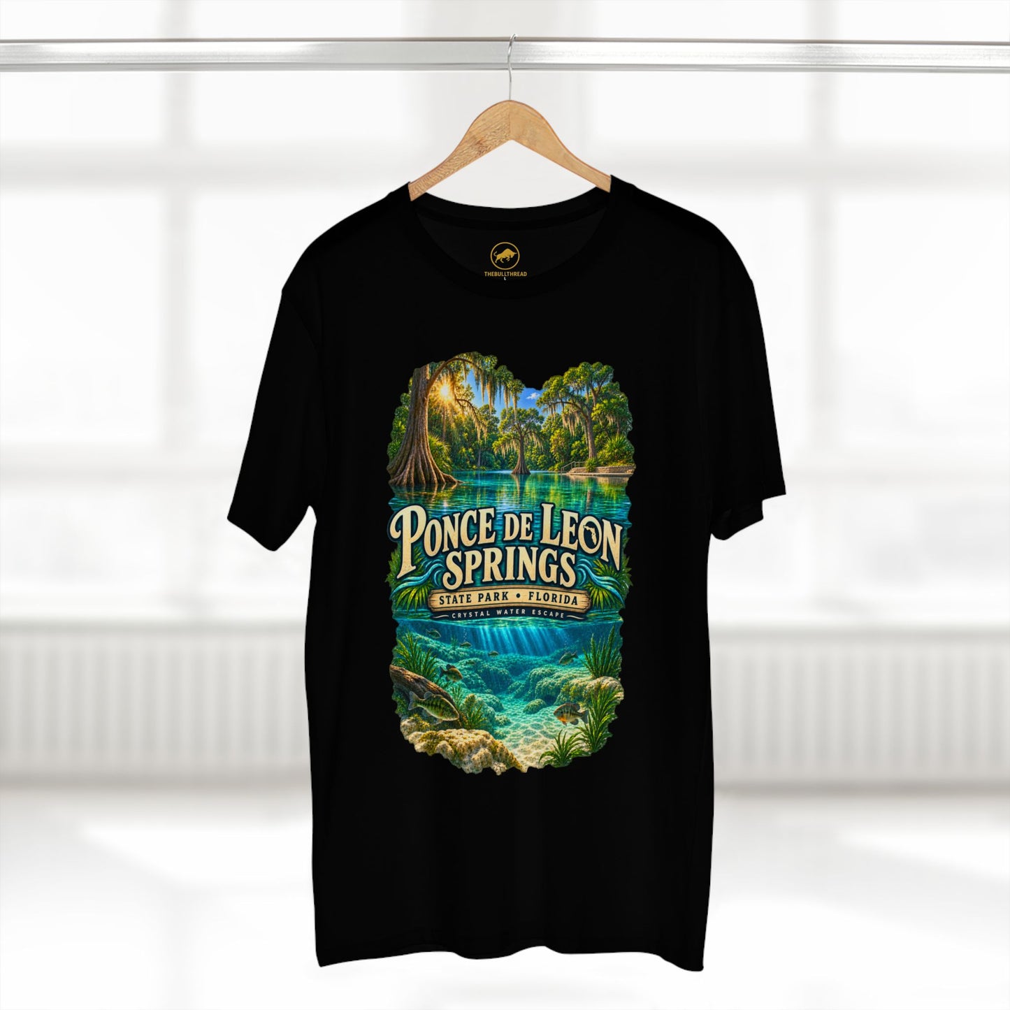 Ponce de Leon Springs State Park T-Shirt, Florida Nature Graphic Tee