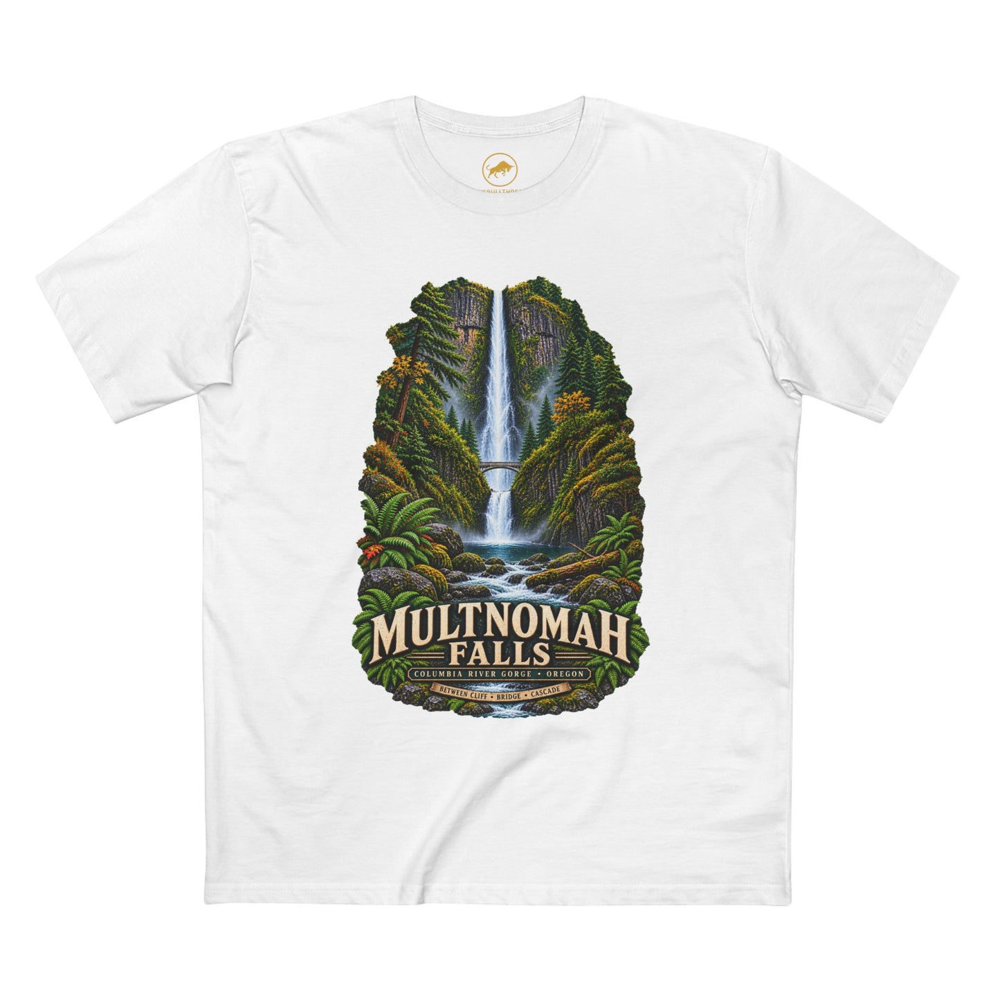 Multnomah Falls Shirt, Columbia River Gorge Oregon Tee, Benson Bridge Waterfall Shirt, Pacific Northwest Hiking Gift