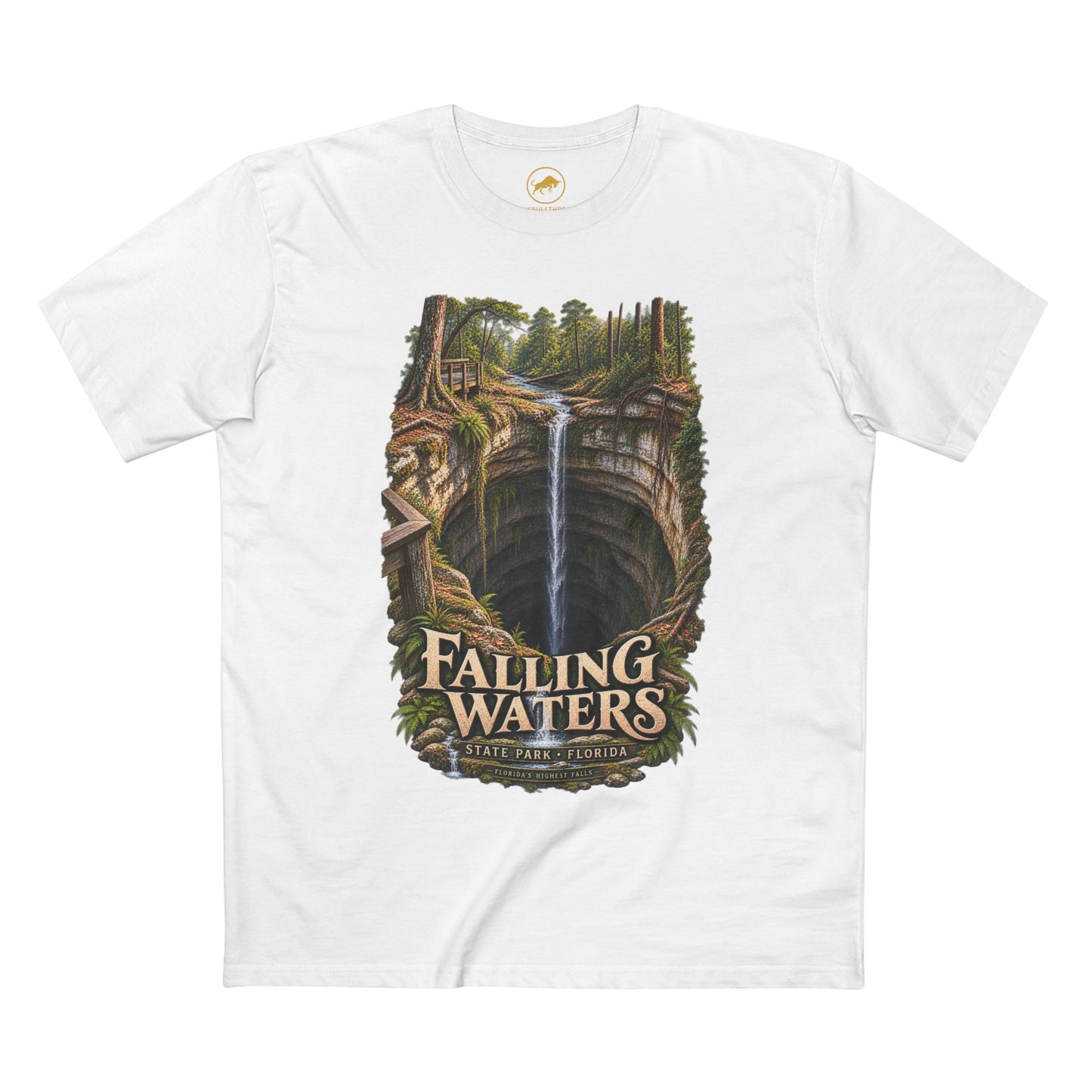 Falling Waters State Park T-Shirt, Floridas Highest Waterfall & Sinkhole Graphic Tee