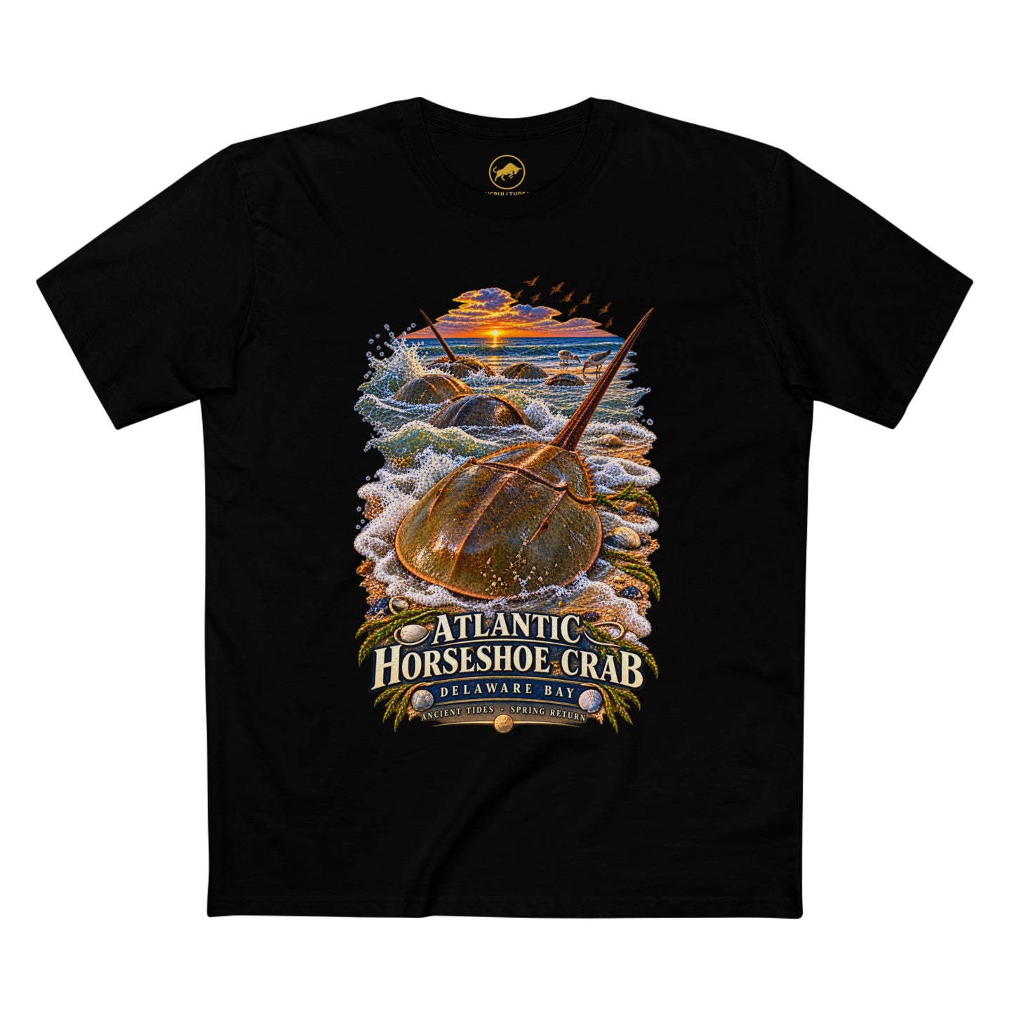 Atlantic Horseshoe Crab Shirt - Delaware Bay Natural History Marine Wildlife Tee