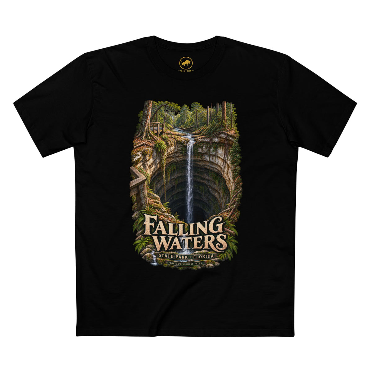 Falling Waters State Park T-Shirt, Floridas Highest Waterfall & Sinkhole Graphic Tee