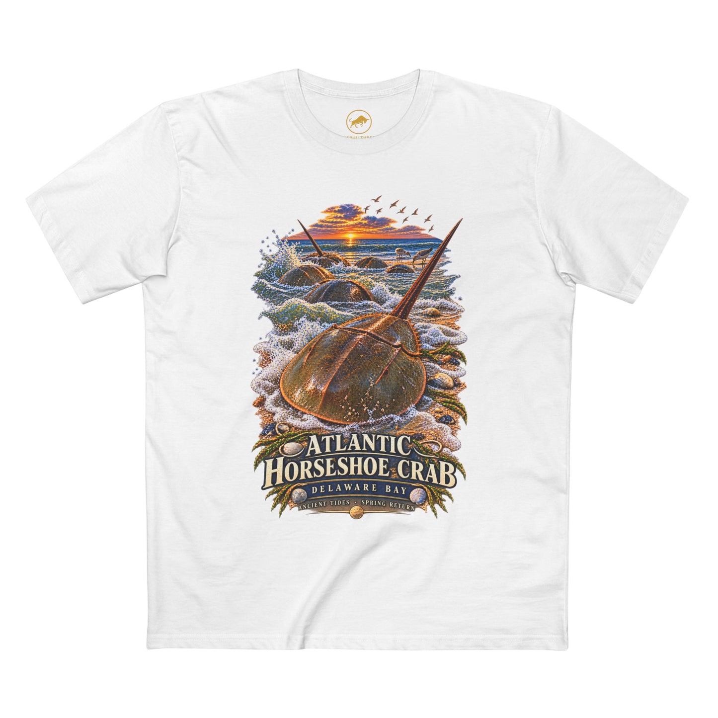 Atlantic Horseshoe Crab Shirt - Delaware Bay Natural History Marine Wildlife Tee