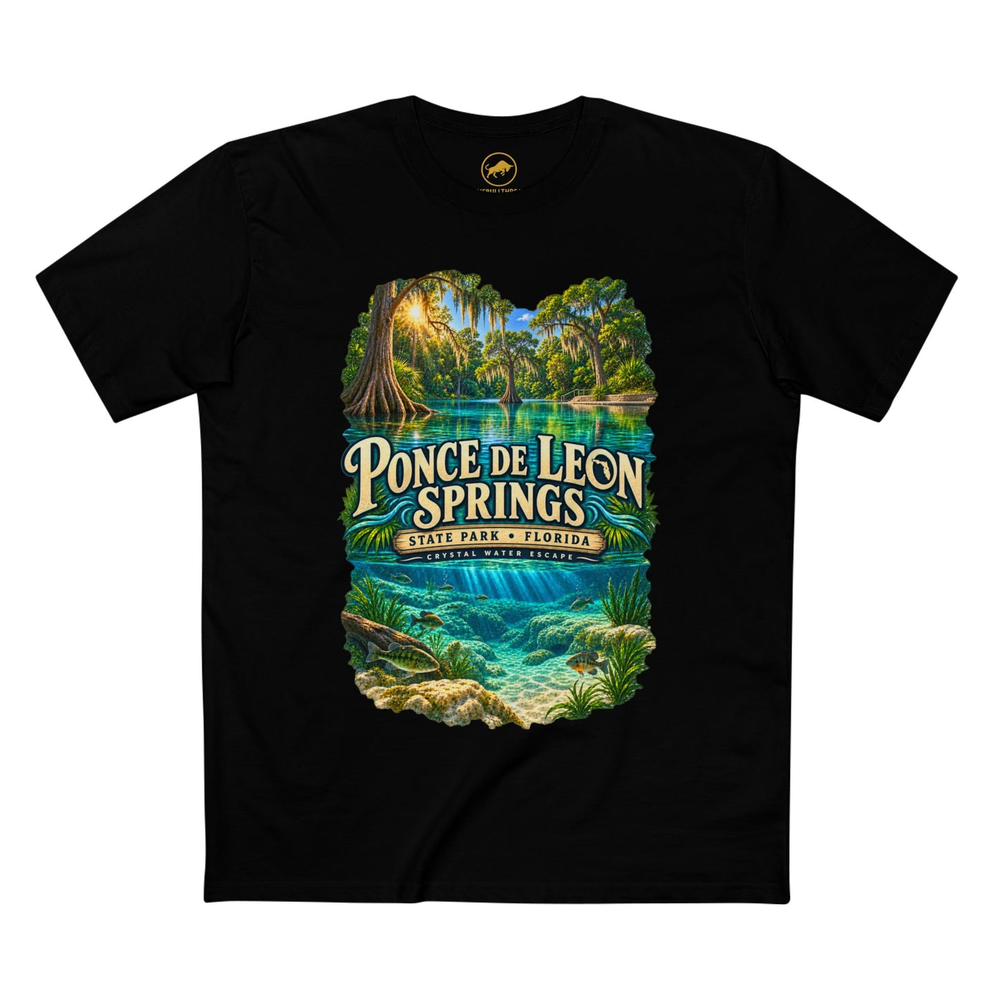Ponce de Leon Springs State Park T-Shirt, Florida Nature Graphic Tee.
