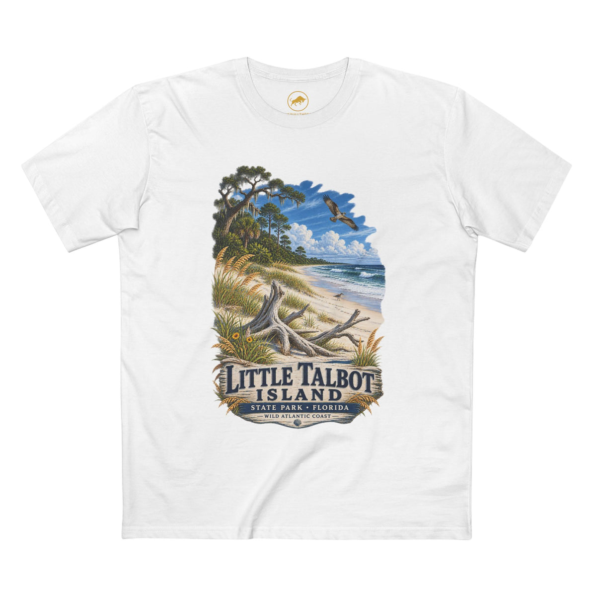 Little Talbot Island State Park Shirt, Jacksonville Florida Beach Tee, Wild Atlantic Coast Barrier Island Nature Gift.